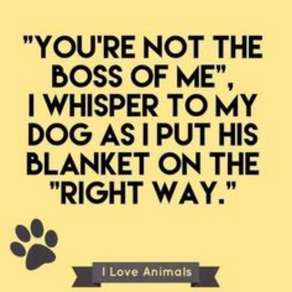 💕I SELL TO SUPPORT ANIMALS IN NEED💕 - Picture 4 of 16